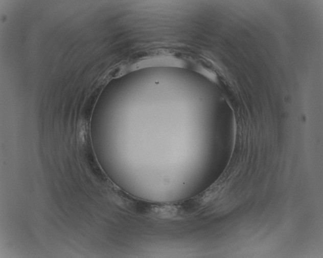 X0000073950125200609181411