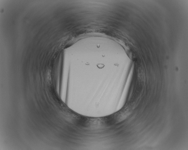 X0000073950127200609181411