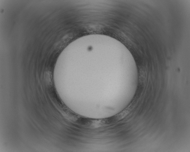 X0000073950130200609181411