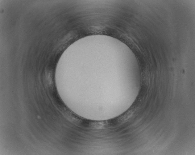 X0000073950131200609181411