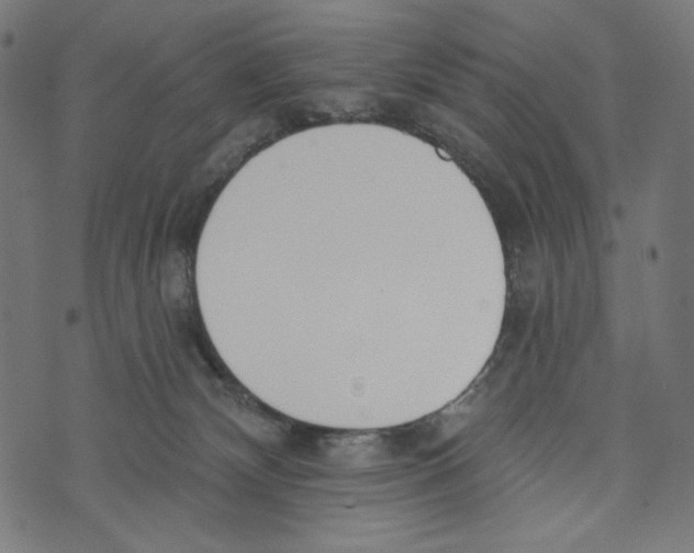 X0000073950132200609181411