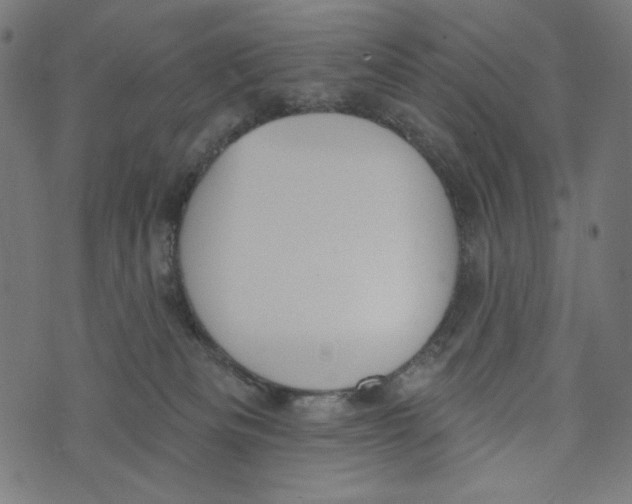 X0000073950133200609181411