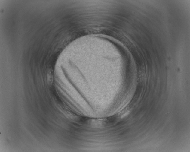 X0000073950134200609181410