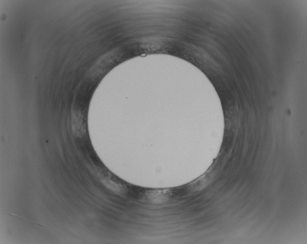 X0000073950136200609181410