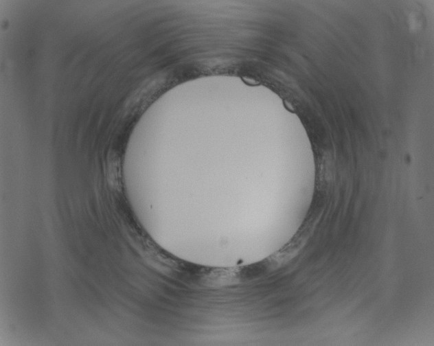 X0000073950138200609181410