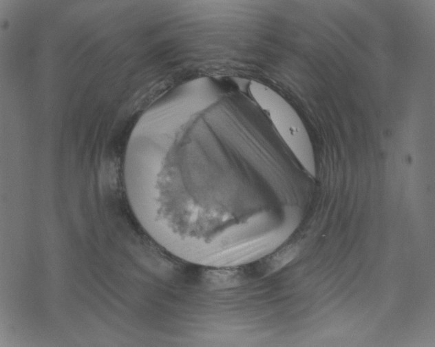 X0000073950139200609181410