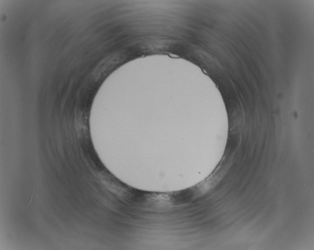 X0000073950140200609181410