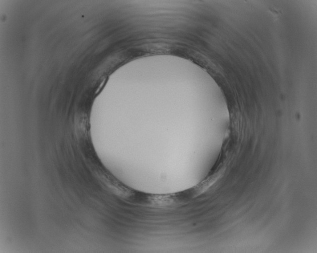 X0000073950141200609181410