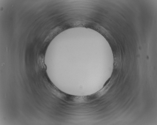 X0000073950142200609181410