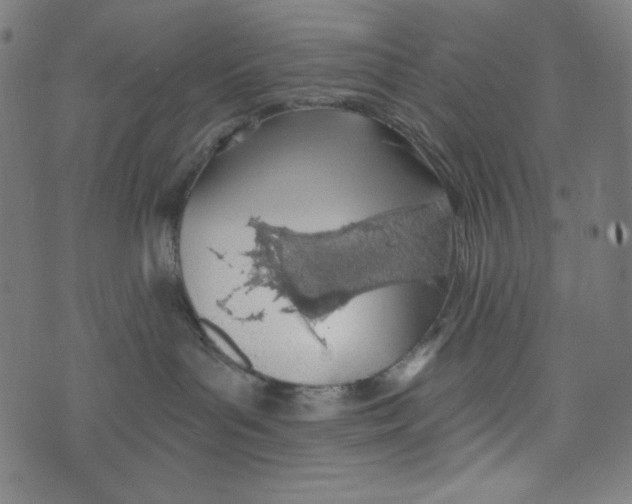 X0000073950143200609181410