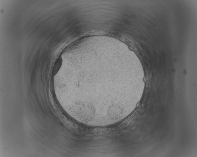 X0000073950145200609181409