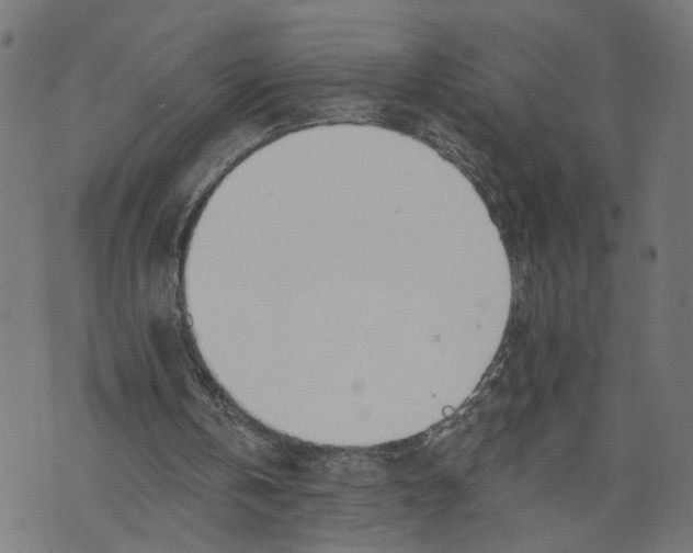 X0000073950146200609181410