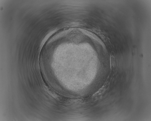 X0000073950147200609181410