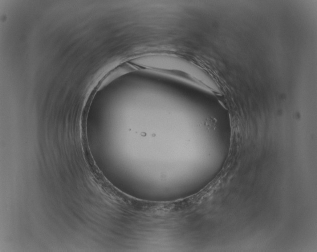 X0000073950148200609181410