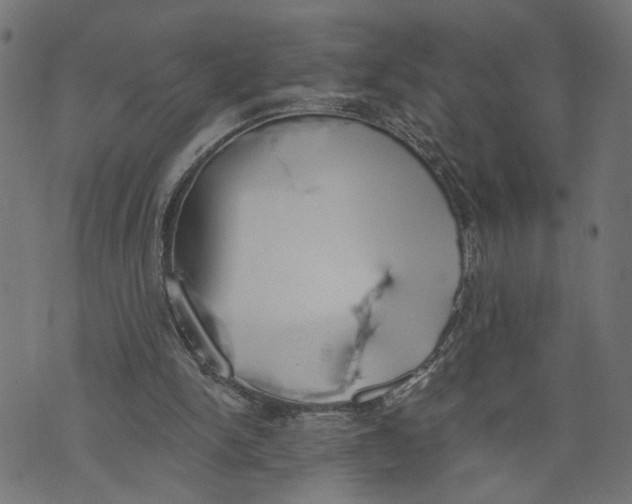 X0000073950150200609181410