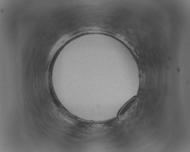 X0000073950151200609181410