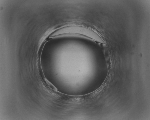 X0000073950152200609181410