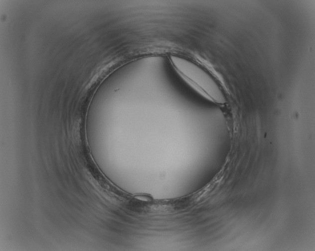 X0000073950154200609181410