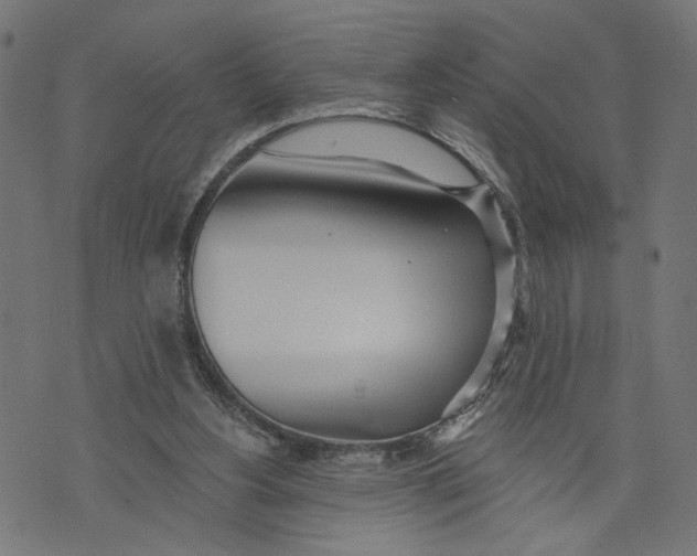 X0000073950156200609181410