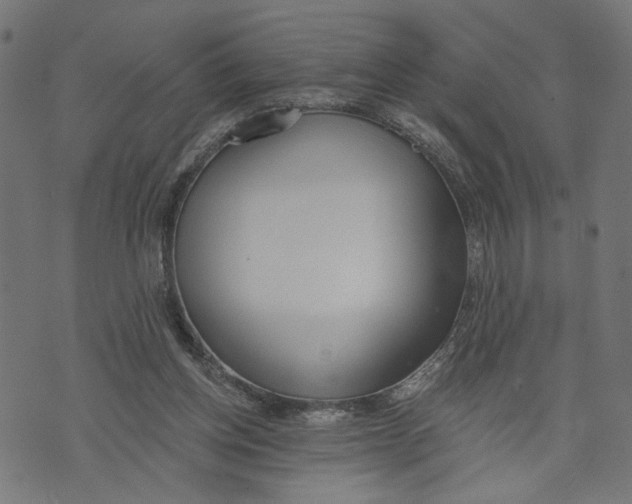 X0000073950158200609181410