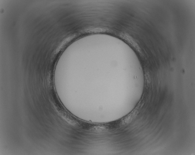 X0000073950159200609181410