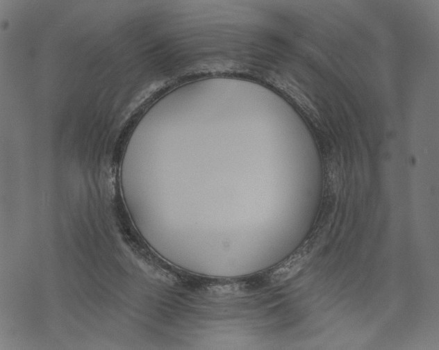 X0000073950160200609181410