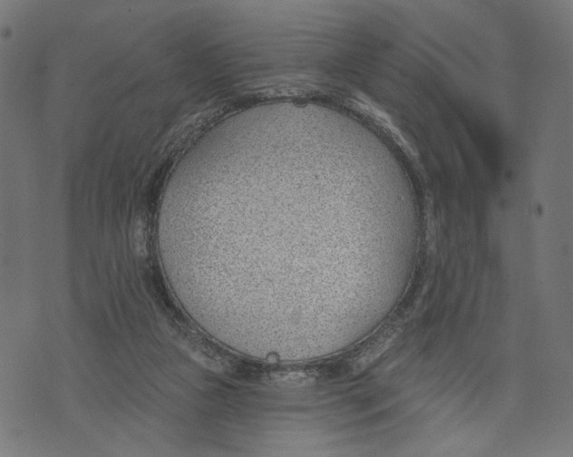 X0000073950161200609181410