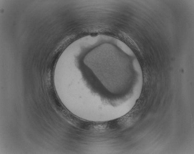 X0000073950163200609181410