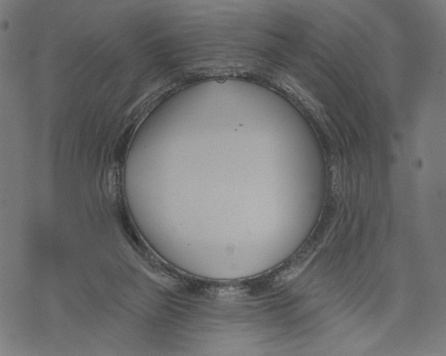 X0000073950165200609181410