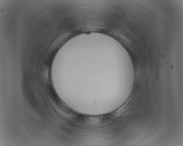 X0000073950166200609181410