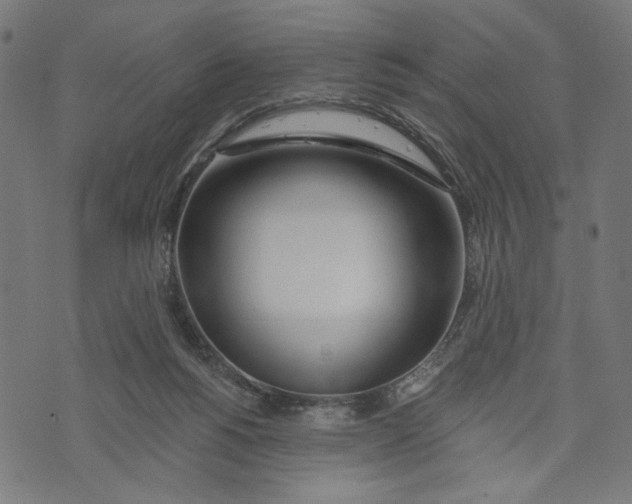 X0000073950168200609181410