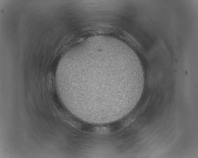 X0000073950169200609181410