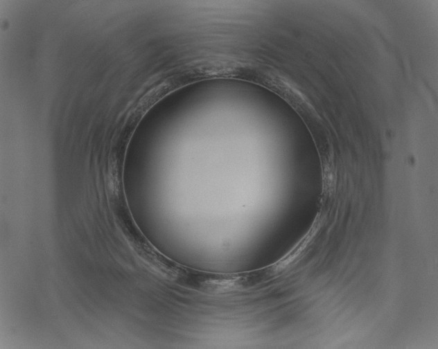 X0000073950170200609181410