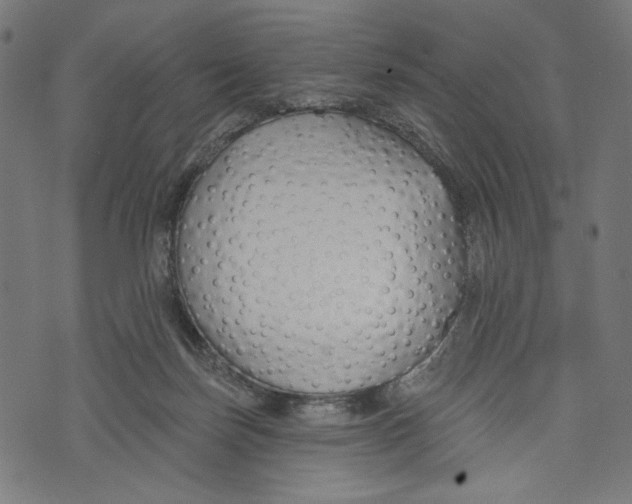 X0000073950171200609181410