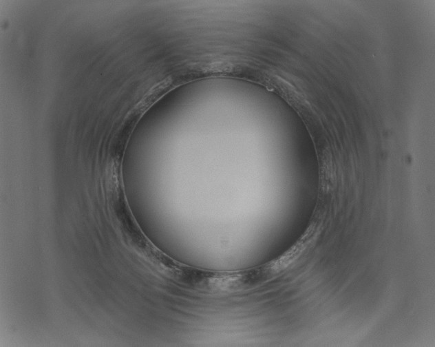 X0000073950172200609181410