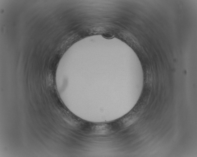 X0000073950173200609181410