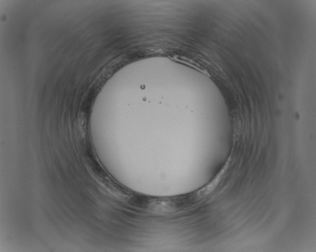 X0000073950174200609181410