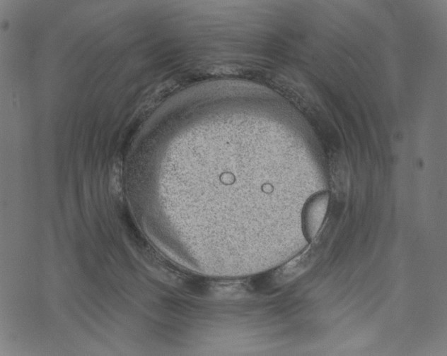 X0000073950175200609181410