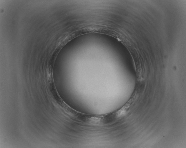 X0000073950176200609181410