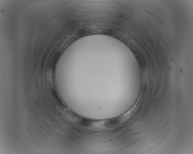 X0000073950178200609181410