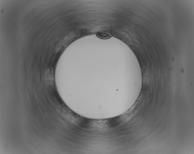 X0000073950179200609181410