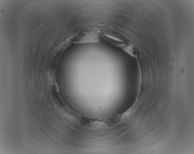 X0000073950180200609181410