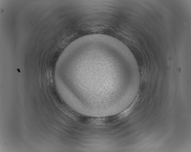 X0000073950182200609181410