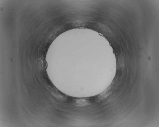 X0000073950183200609181410