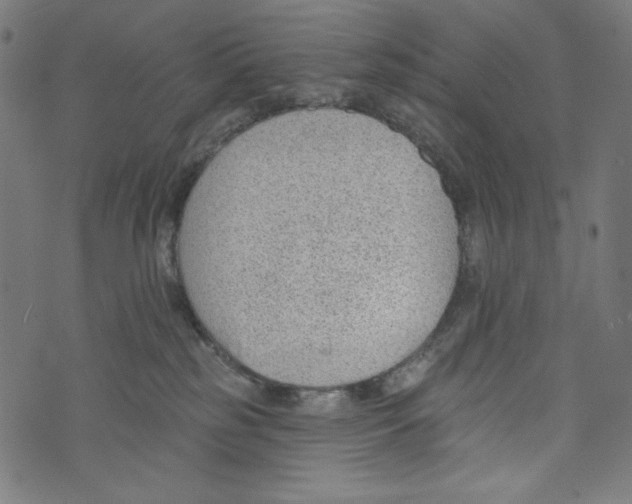 X0000073950185200609181410