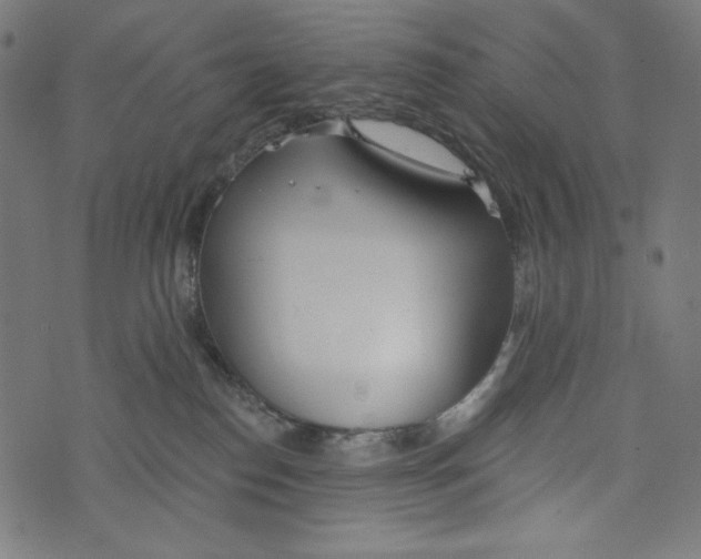 X0000073950186200609181410