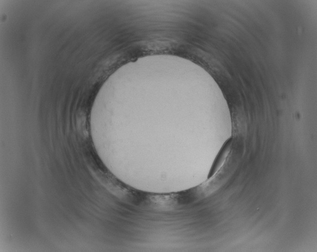 X0000073950187200609181410