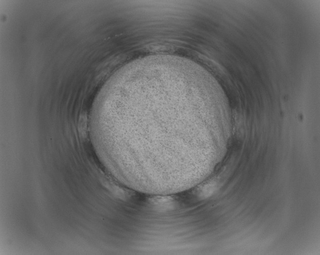 X0000073950189200609181410