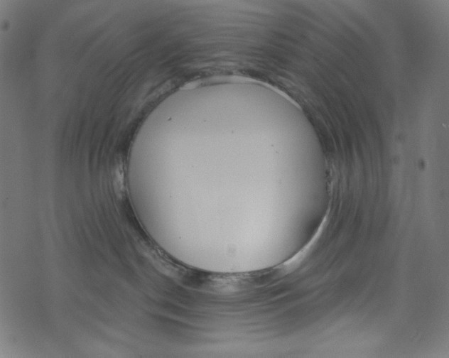 X0000073950190200609181410