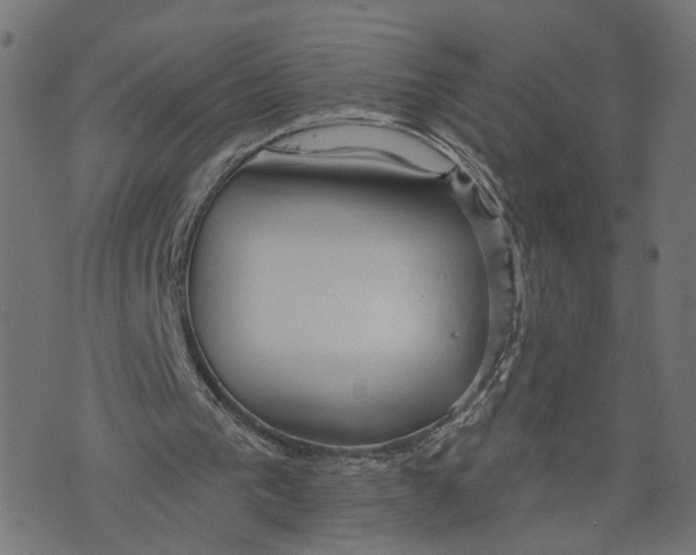 X0000073950193200609181409